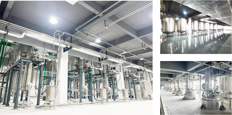 首页-BB贝博艾弗森公司官网