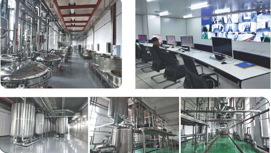 首页-BB贝博艾弗森公司官网