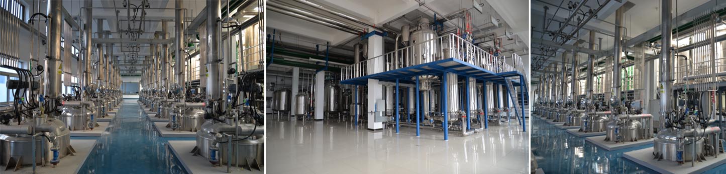 首页-BB贝博艾弗森公司官网